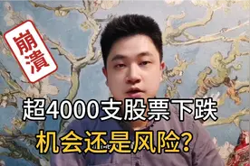 超4000支股票下跌，新能源重创！原因找到了，机会还是风险？视频封面
