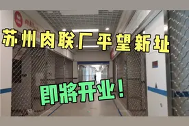 苏州肉联厂平望新址即将开业，新市场距离市区30公里，距离有点远视频封面
