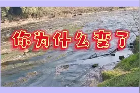 你为什么变了，变得如此害怕，让我内心受到如此的伤害。