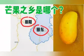 中国芒果之乡是田阳还是田东？视频封面