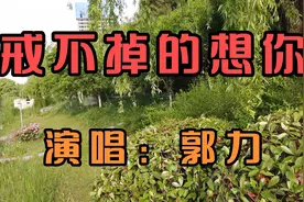 郭力一首《戒不掉的想你》旋律伤感，句句刺痛人心，唱的胆肠欲断