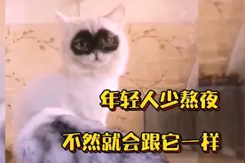 【搞笑配音】年轻人少熬夜，不然下场就会跟它一样，变成夜猫子!