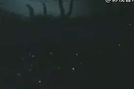 电影《路漫漫》插曲视频封面