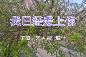 风雨过后天晴，伴你一路前行。你就像一朵花，花瓣飘香散发。视频封面