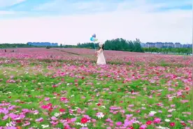 走入人心真诚的爱，是无时无刻的牵挂、惦念、想念，永不分离。视频封面
