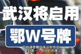 4月26日武汉启用汽车鄂W号牌！为啥启用新号牌？鄂A号牌用完了吗视频封面