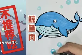 被日本大肆捕捞的鲸鱼，真的适合吃吗？视频封面