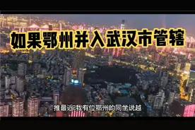 如果鄂州并入武汉市管辖，则麻城有望升格为地级市！视频封面