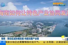 海南如何让特色产业协同发展视频封面