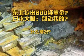 东北曾挖出600顿黄金。日本大喊：谁也别动，这是我们的！视频封面