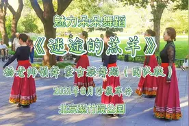 魅力朵朵舞蹈《迷途的羔羊》杨老师领舞2021年8月珍藏版视频封面