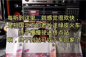 老绿皮火车到达终点站之BGM视频封面