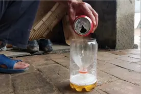 抓蚊子小妙招，只需一个饮料瓶加啤酒，房间蚊子全抓光视频封面