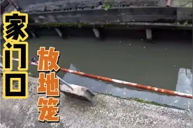 小伙家门口放地笼，居然捕获了四只脚的东西，真是龟大了哟！视频封面