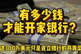 300万美元就能开银行，额外要求却上亿，开家银行到底要多少钱？视频封面