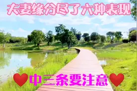 夫妻现实中会有这些表现 对照一下说的对吗视频封面