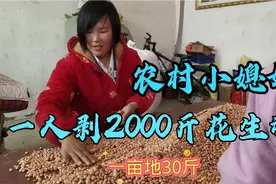 河南农村漂亮小媳妇，一人剥70亩地的花生种，看看什么神操作视频封面