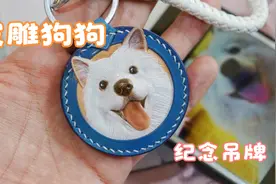 以前的你即使再远都能找到我们，可这次我却再也找不到你了。视频封面
