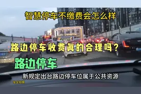 智慧停车不缴费会怎么样。视频封面