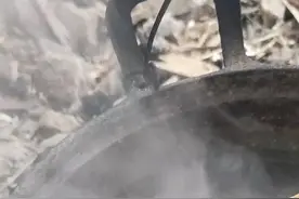 你知道火鸡蛋和土鸡蛋的区别吗？不是大小的问题，不信你买去试试