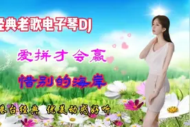 电子琴DJ《爱拼才会赢》串烧《惜别的海岸》，港台经典，动感好听视频封面