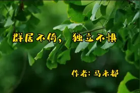 散文朗读《群居不倚，独立不惧》作者:马未都视频封面