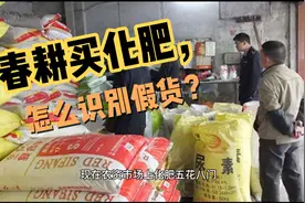 春耕买化肥，怎么识别假货？这些方法，一定要要掌握！视频封面