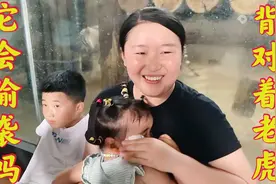 晚晚妈背对老虎，它会是什么反应？没等老虎过来偷袭，把晚晚吓坏视频封面