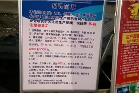 带大家看看东莞东坑某工业园普工最真实的工资看看能否月入过万？视频封面