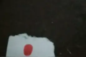 什么叫做正道的光视频封面