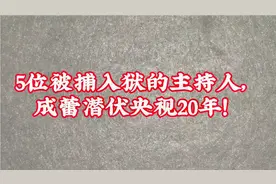 5位被捕入狱的主持人，成蕾潜伏央视20年！视频封面