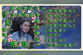 沪剧赋子板高手母亲专业户陈瑜精彩唱段欣赏 名不虚传的金嗓子视频封面