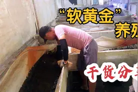 冷门养殖算暴利项目吗？42岁养殖户真实的创业心得，教你避免损失视频封面