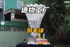 你知道羽毛球资格高端的羽毛球价值几何吗，超乎你的想象视频封面
