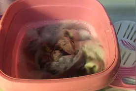 攒了一周的袜子，，这下给解决了。关键不用手洗了，太适合我懒人视频封面