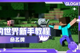 我的世界新手教程:命名牌8