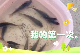 来吧，没工具，咋办，自制，能难倒我吗？