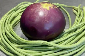 厨师长教你茄子炒豆角的家常做法，步骤详细，鲜香微辣下酒又下饭