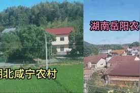 火车由湖南岳阳进入湖北咸宁，看看霸气的农村，两城反差太意外了视频封面