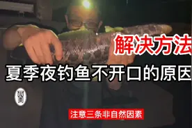 夏季夜钓鱼不开口的原因及解决方法，注意三条非自然因素视频封面