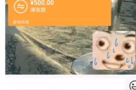 姐妹被表白了怎么办😱视频封面