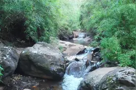 《红岩》节选朗读视频封面