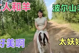 美女天天骑羊遛弯，这画面太美了，波尔山种羊劲好大啊，驮人真牛视频封面