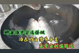 鲫鱼汤跟大厨学会这样做，不仅汤色奶白营养丰富，鱼骨鱼刺还能吃视频封面