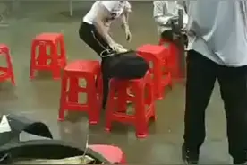 广东廉江永富兽药公司拜访广西玉林容县猛男梁二哥，子女十五个！视频封面