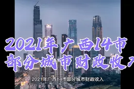 2021年广西14市部分城市财政收入视频封面