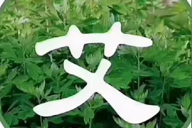 中灸论道：艾灸后三十二种反应，代表那些疾病。