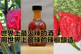 世界上最辣的酒，用世界上最辣的辣椒酿造视频封面