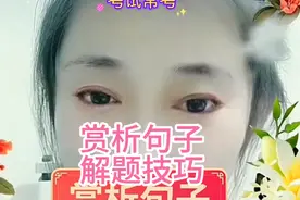 学习策略一赏析句子解题技巧视频封面