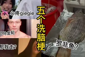 【万恶之源】肌肉金轮，罗非鱼，你没看过？那我走？视频封面